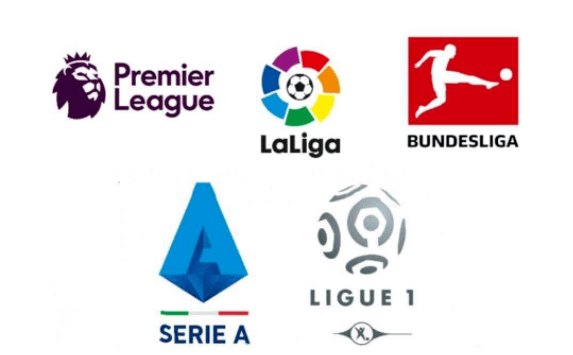 引进这样的 引进这样的